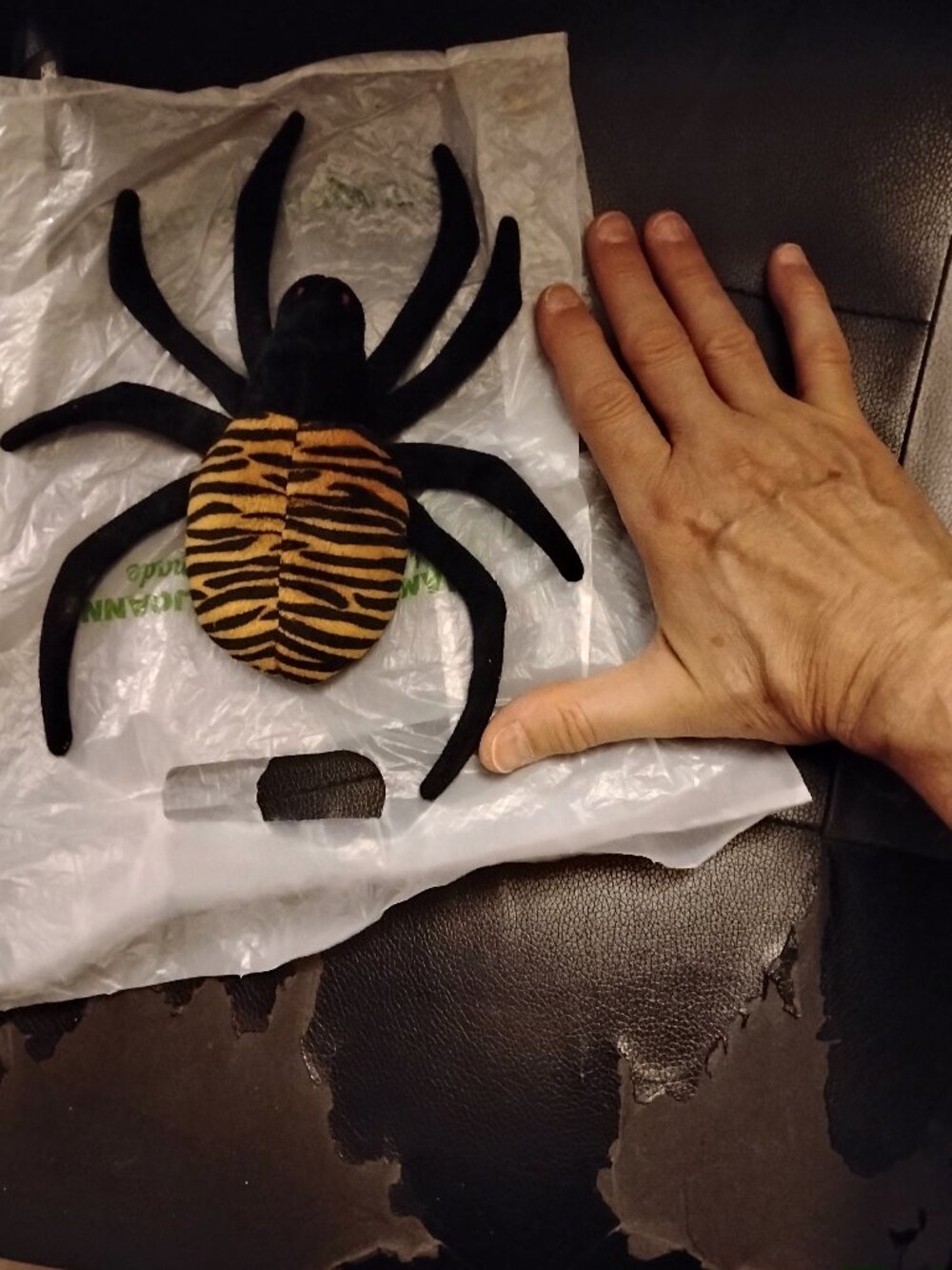 "SPINNER" THE SPIDER 1996 TY BEANIE BABY no tag